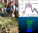 Illustration of Jessica Mitchell's work testing biodiversity mapping methods using reflectance spectroscopy and laser scanning.